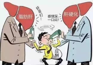 医生剖析:为什么会得酒精肝